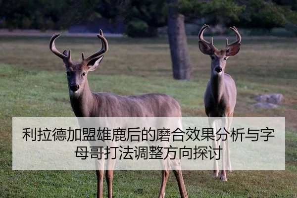 利拉德加盟雄鹿后的磨合效果分析与字母哥打法调整方向探讨